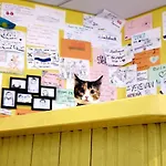 Yellow Hostel Central